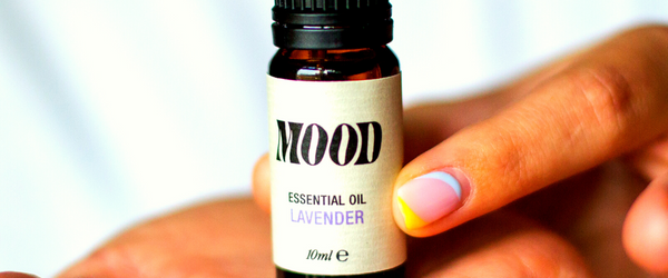 A School Bag of Emotions & a Lot of Lavender