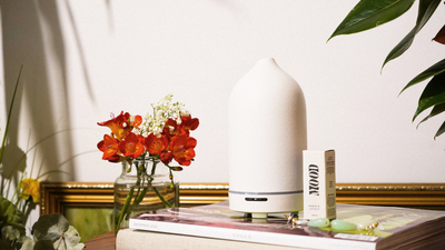 Aromatherapy Just Got Easier: Discovering the Joys of Diffusers!